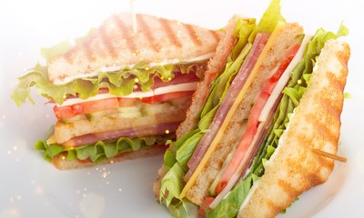 Fresh tasty sandwiches on white plate