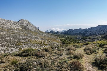 Fototapeta premium Berge Mallorca 