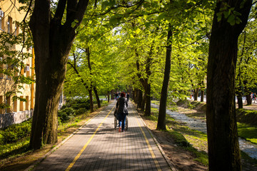 Public SPA in public park in Vrnjacka Banja, Serbia