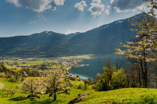 the village of Arth on Lake Zug in the central alps of Switzerland