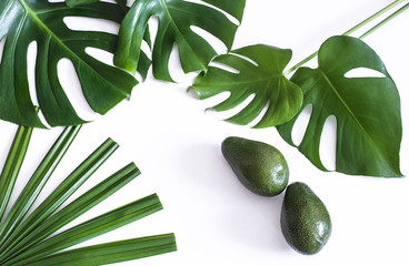 Avocado with tropical leaves on white background