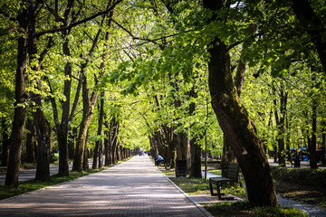 Public park by the river in vrnjacka banja, serbia