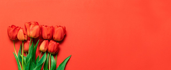 Red tulip bouquet on the red background with copy space. - obrazy, fototapety, plakaty