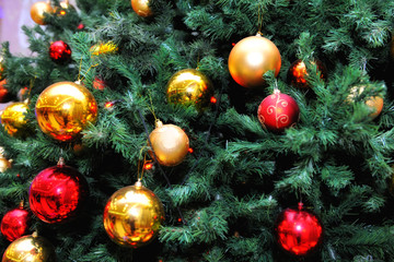 Fototapeta na wymiar christmas balls on tree