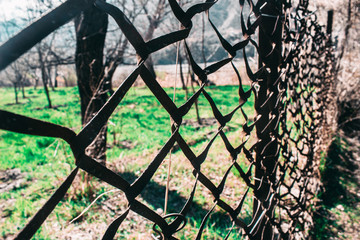 Black mesh on a background of green grass