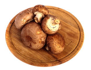 royal large champignon on a wooden chopping round board. on a white background