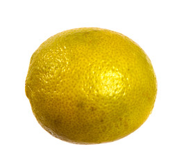 ripe lime flavored. on a white background