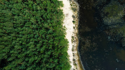 Lake border with woodland, top down aerial