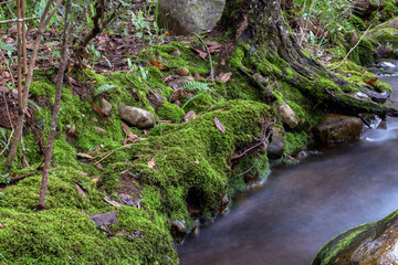 Multiple exposure of the cold stream of a ravine in the mountains near the colonial town of Villa de Leyva, in the central region of the Colombian Andes.