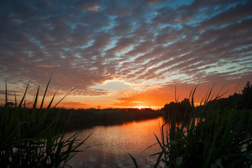 Beautiful waves and ripples of Altocumulus undulatus clouds during a colorful sunset over a lake in The Netherlands.