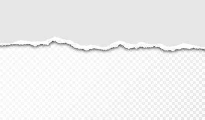 Fototapeta premium Torn paper with ripped edges and transparent space for you design. Paper texture with ripped edges and shadow. Horizontal banner template. Vector