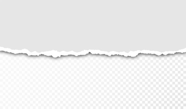 Torn paper with ripped edges and transparent space for you design. Paper texture with ripped edges and shadow. Horizontal banner template. Vector