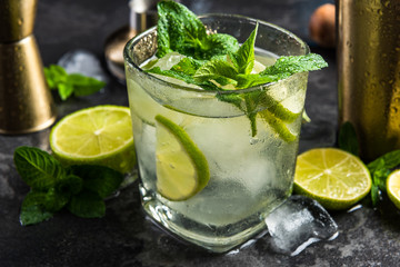 Refreshing authentic cuban Mojito drink