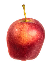 ripe tasty apple. on a white background