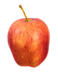 ripe tasty apple. on a white background