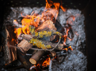 Red flame from a cut of a tree, dark gray coals inside a metal brazier. Firewood burning in a brazier on a bright yellow flame. Flames of fire preparing for cooking kebabs.