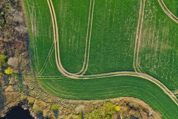 Aerial view on green wheat field divided by curved truck traces