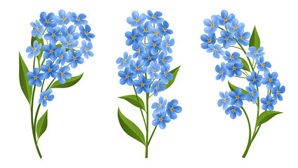 Forget me not flower in different position, with blue petals and green leaf. Vector illustration isolated on white, for summer and nature design
