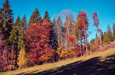 Fototapeta premium Beautiful autumn landscape in The Carpathian Mountains