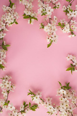 Naklejka na ściany i meble Spring or summer background.Flowering tree branches on the pink background.Top view.Copy space.