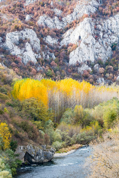 Beautiful autumn colors in the Iskar gorge, Bulgaria