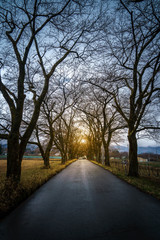 road in autumn