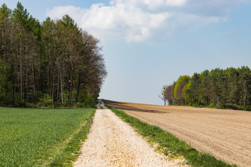 Scieżka polna, po prawej pole a po lewej zielona trawa