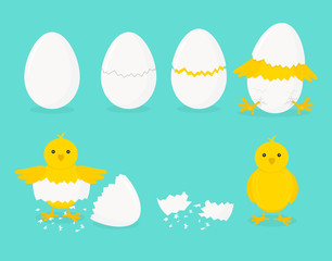 Cartoon Chicken Hatching Phases Set on a Blue. Vector