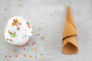 plate of vanilla ice cream scoop swith sprinkles and waffle cones  with copy space