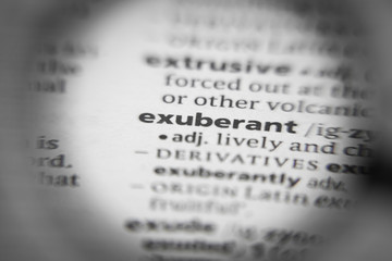 Word or phrase exuberant in a dictionary.