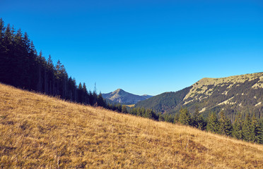 Beautiful autumn landscape in The Carpathian Mountains