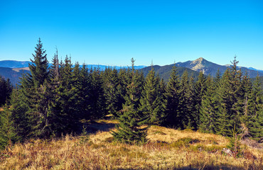 Beautiful autumn landscape in The Carpathian Mountains