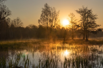 Fototapeta na wymiar Sunrise on wetlands in Kampinos National Park