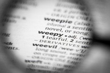 Word or phrase weepy in a dictionary.