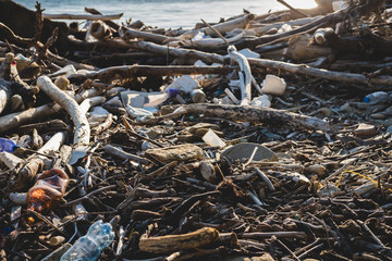 Ecological concept. Ecology problems of the planet Earth. Rubbish in places of rest by the sea. Plastic bottles among green grass and flowers.