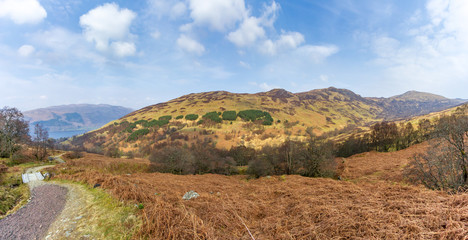 A view of a mountain slope with grass and trees along a trail path and foot bridge under a majestic blue sky and whites clouds