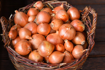 Red onions in a wooden basket. The spring avitaminosis.Vegetables in a basket, organic food and fresh vegetables
