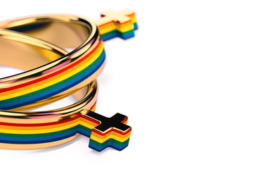 Close up shot on two lesbian female wedding rings on white background. Lesbian marriages issue concept. 3D rendering