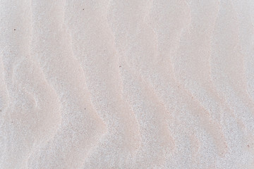 Naklejka na ściany i meble Sand texture . Sandy beach for background .