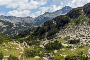 Fototapeta na wymiar Landscape of Banderishki chukar peak, Pirin Mountain, Bulgaria