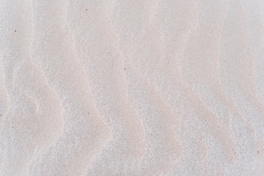 Sand texture . Sandy beach for background .