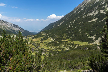 Summer landscape of Pirin Mountain, Bulgaria