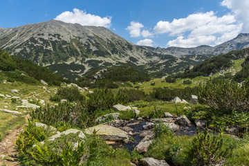 Fototapeta na wymiar Landscape of Banderishki chukar peak, Pirin Mountain, Bulgaria