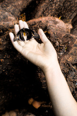 hand with soil