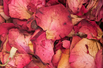Background of dried rose petals - Powered by Adobe