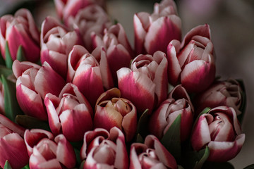A bouquet of spring beautiful flowers. Fresh Pink tulips. Top view. Flowers background.