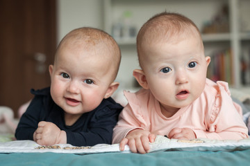 Adorable six months old baby twins in bed at home. Cute kids during tummy time. Two baby twins on...