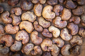 Cashew - raw nuts in the shell