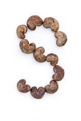 Cashew - raw nuts in the shell