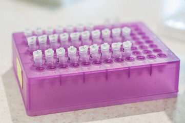 Close-up test tubes rack